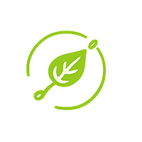 Cultivo